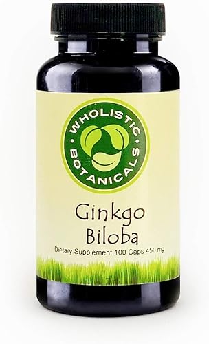 Ginkgo Biloba Capsule — Suplemento de memoria para el cerebro — Suplemento energético — 100 ct