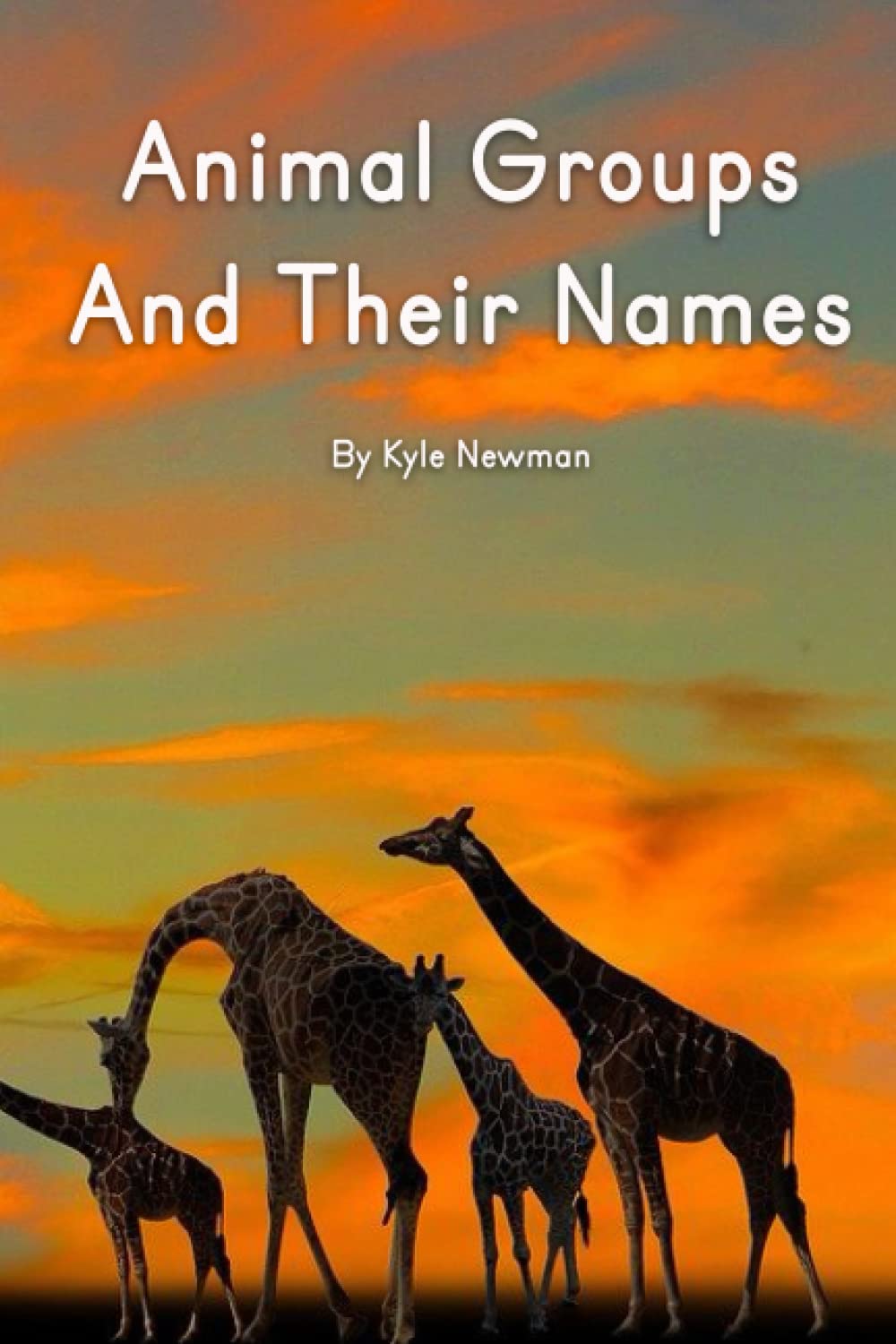 Animal Groups And Their Names