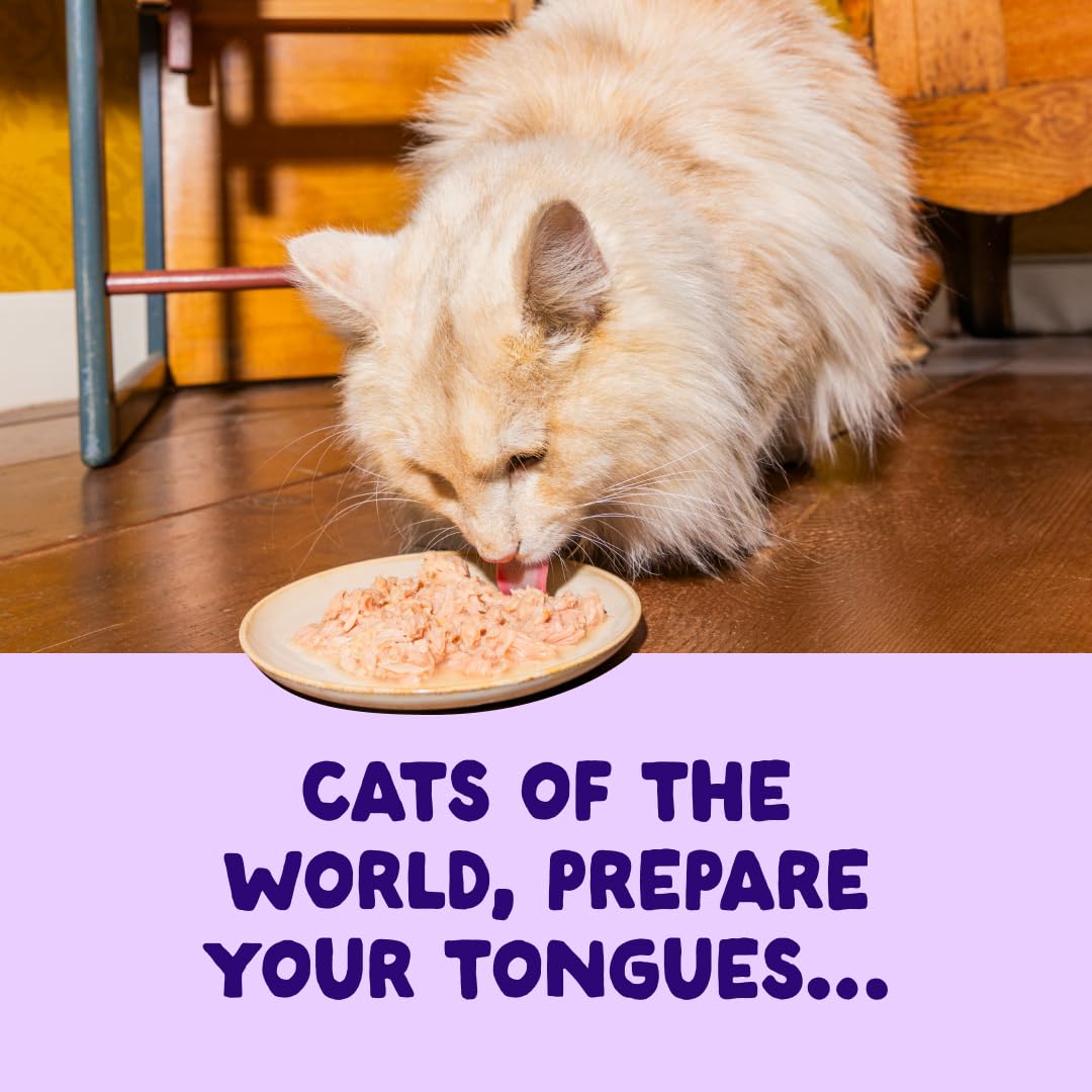 Edgard & Cooper Nourriture Humide pour Chats, Filets dans Leur Bouillon Saumon et Thon, 24 x 70g, sans Céréales, Ingrédients Naturels, pour Chats Stérilisés, Poisson MSC, sans Sucres Ajoutés