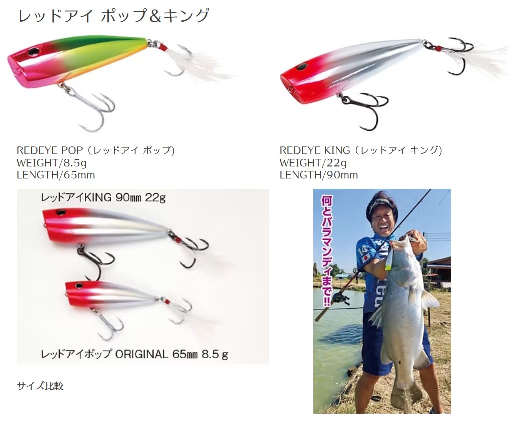 Amazon | ウォーターランド(Water Land) レッドアイポップ (RED EYE Amazon | ウォーターランド(Water Land) レッドアイポップ (RED EYE