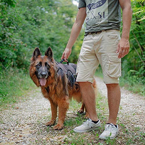 Ferplast Ergonomisches Hundegeschirr Große Hunde ERGOTREKKING Small, Geschirr Hund Sechs Verschlüsse Mikroregulation, weiche Polsterung, reflektierend, Ideal zum Wandern, braun