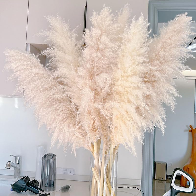 Pampas Grass Grass Natural Seco 120cm 5 Piezas miniatura 2