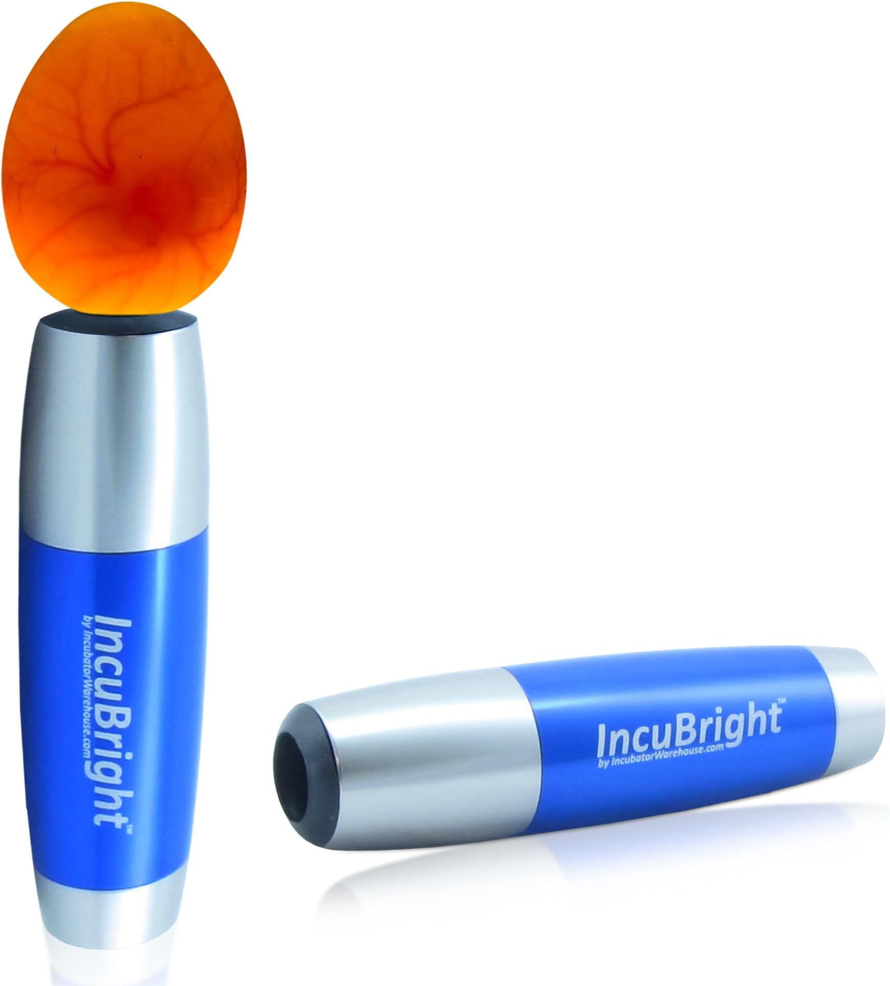 Incubator Warehouse Incu-Bright Ultra Bright LED Egg Candler, Exclusive, Rubber Nesting Ring for Candling Seal, Poultry/Reptile, Easily Identify Developing & Non-Developing Eggs, Hatching Eggs, 1102