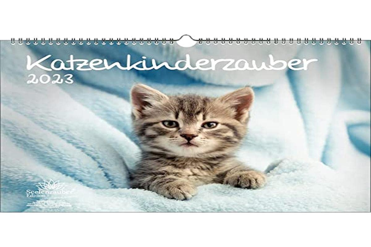 KN2023-3W-0008-D-0 Cat Children's Magic DIN A3 Calendar for 2023 Cat Children Cat Babies Soul Magic Multi-Coloured