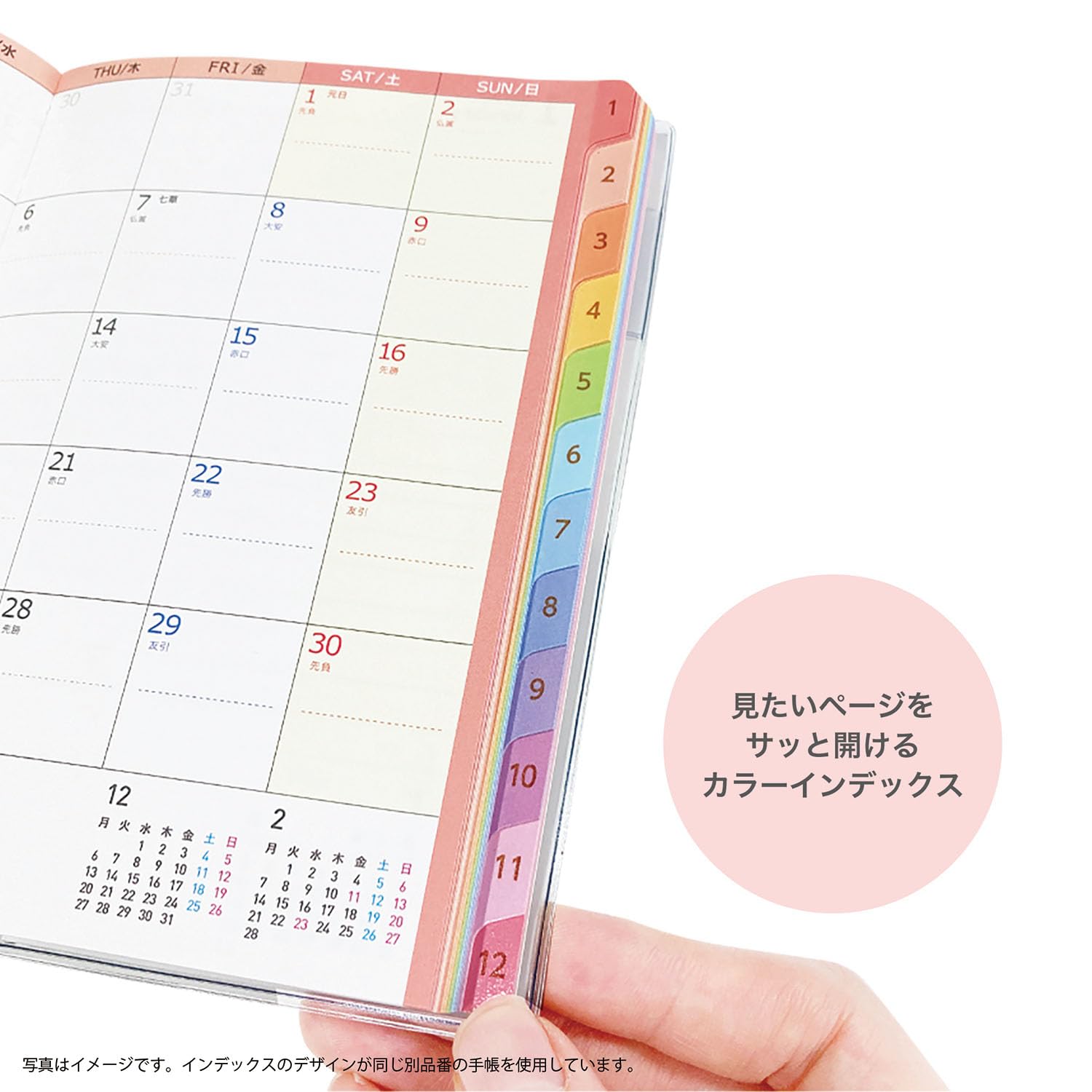 Amazon.co.jp: クツワ 手帳 カラーインデックス手帳 2026年