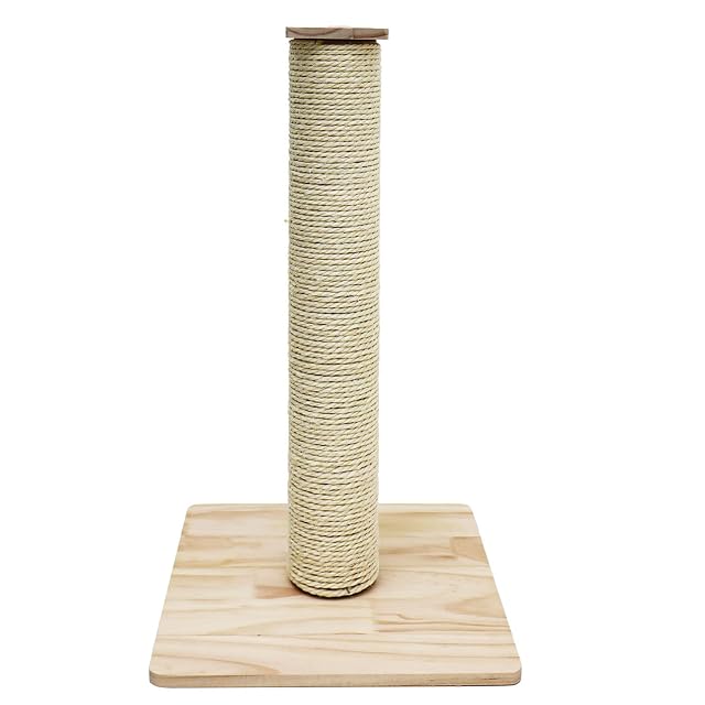 Foto 8 de 8 de eyepower 62 cm Árbol Rascador para Gatos y Gatitos - 9,2 cm Poste de Cuerda Sisal con Base de Bambú
