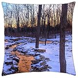 golden creek apts sioux falls  golden creek in winter - Throw Pillow Cover Case (18