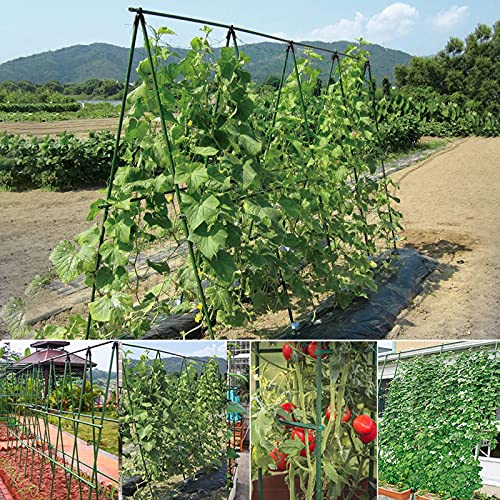Metal Garden Stakes 2Feet 24In Sturdy Plastic Coated Plant Stakes, Pack Of 25, Plant Cage Supports Climbing For Tomatoes, Trees, Cucumber, Fences, Beans, Vegetable Trellis #TOP1
