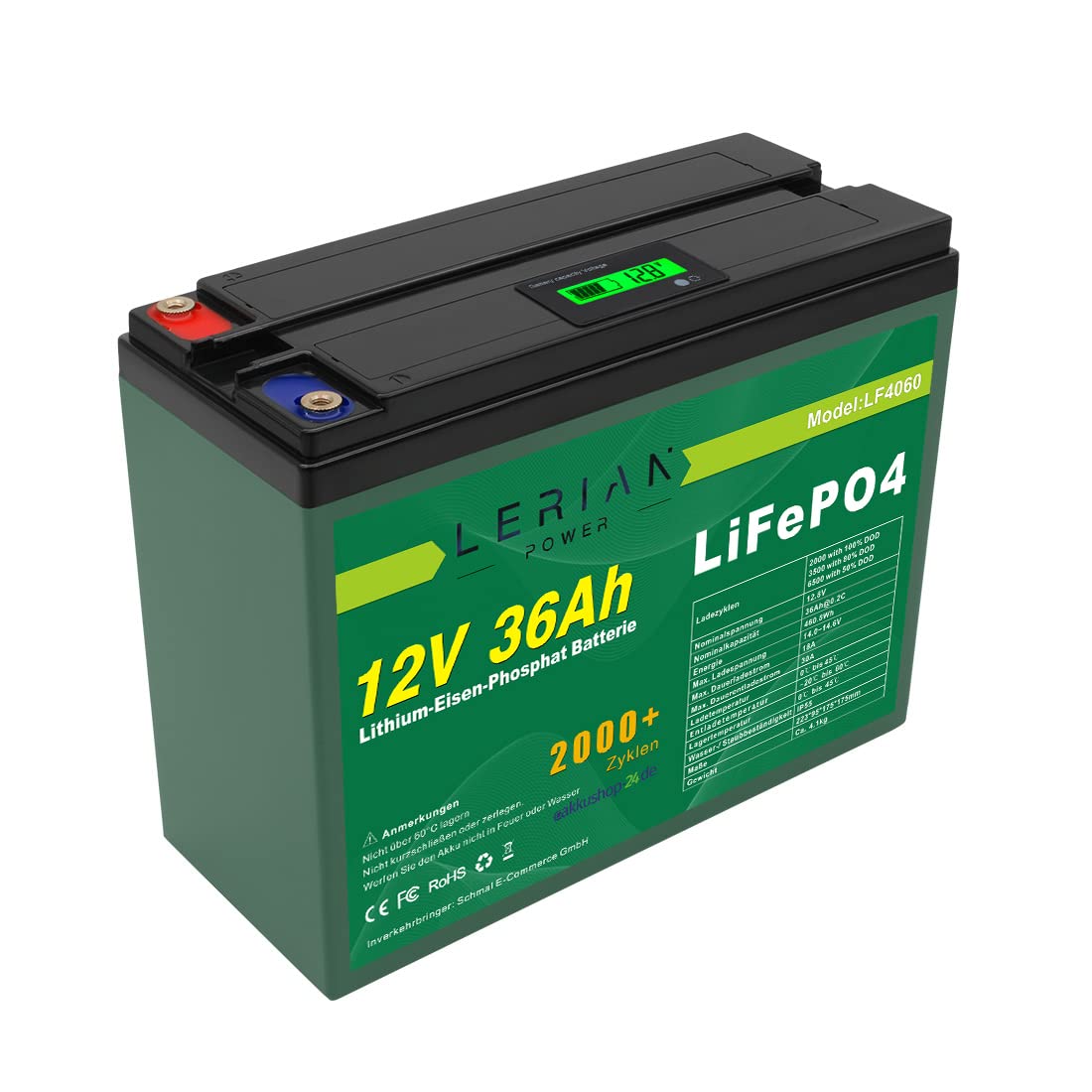 Batterie LiFePO4 12 V 36 Ah au lithium phosphate de fer pour camping bateau caravane solaire