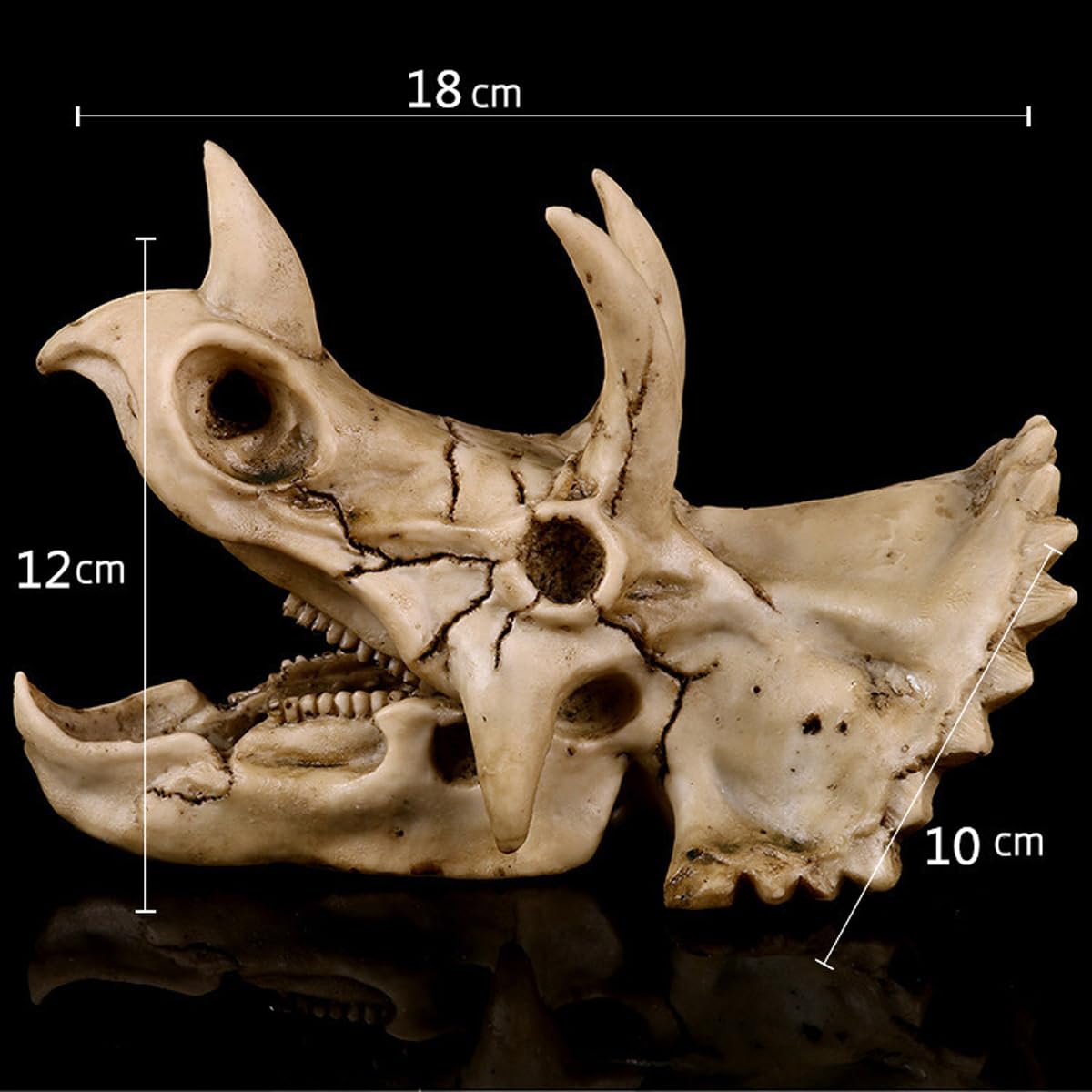 Réplica de Modelo de cráneo de Triceratops de Resina, fósil de cráneo de Diente de Dinosaurio, Accesorios de fotografía, Herramienta de enseñanza, Ornamento para el hogar