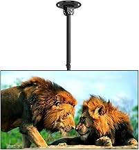 Suptek TV Deckenhalterung für 37-75 Zoll Fernseher, höhenverstellbar, neig- und schwenkbar, VESA 600x400 mm (max.), bis 59,9 kg – Kompatibel mit LCD, LED, Plasma, Flachbildschirmen, Curved TVs MC5602