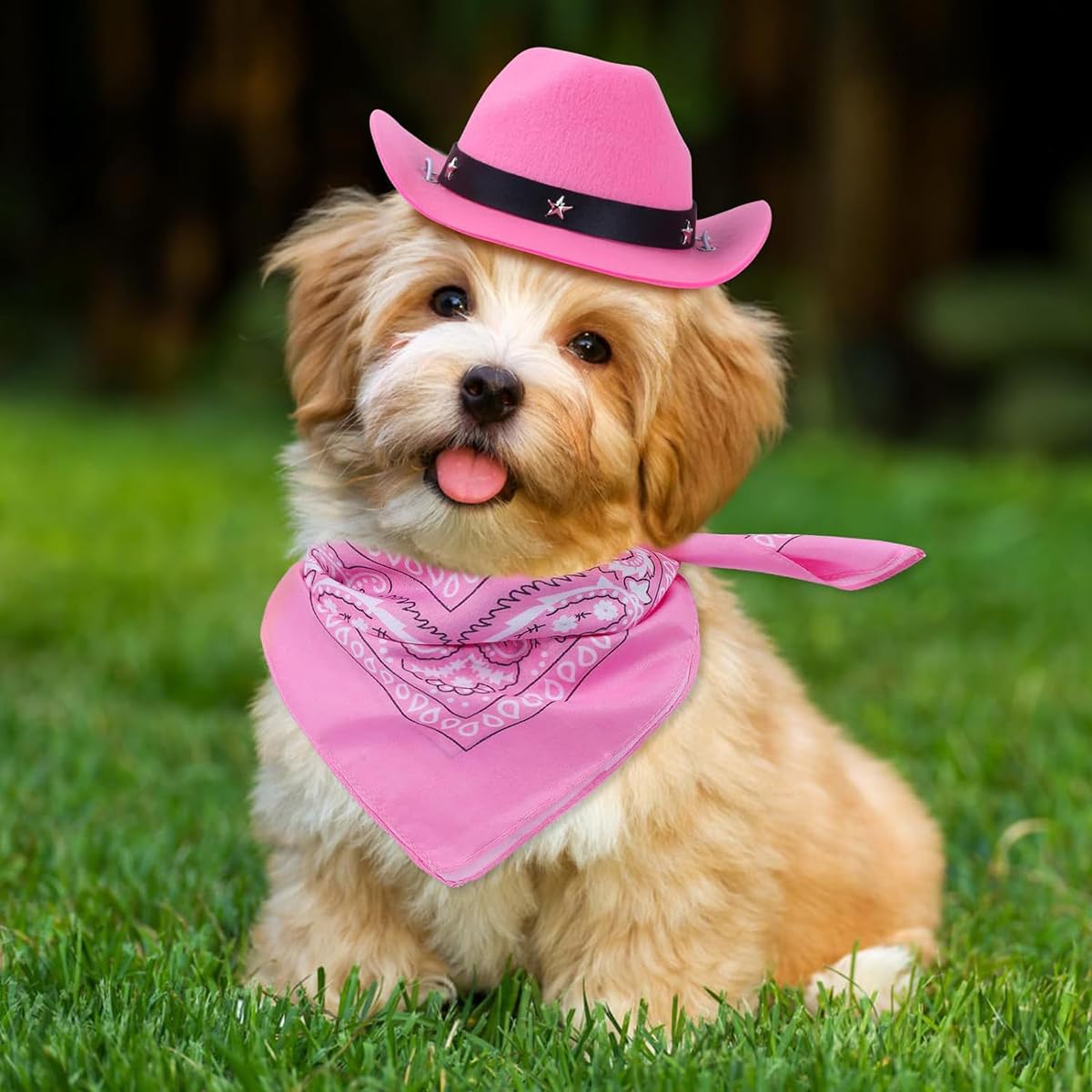 Dog Halloween Costumes GOYOSWA Dog Cowboy Hat And Bandana Dog