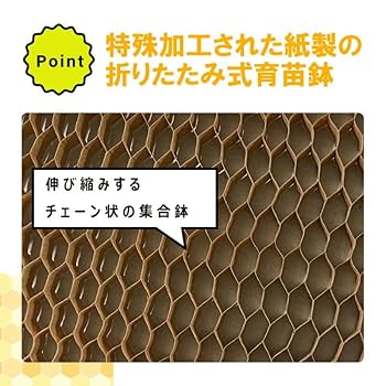 Amazon.co.jp: チェーンポット ペーパーポット LP303-10 263鉢