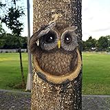 🦦🦦Baumgesichts-Dekoration, leuchtende Augen im Dunkeln, lustiger alter Mann, Baumskulptur, Gartendekoration, 4 Stück Jungen, braun/weiß Baumgesicht Alter Mann, 4-teilig, Baumstamm Deko, wetterfest, Baumdeko zum Hängen, Gartendeko, H x B x T: ca. 6 x 15 x 1,5 cm Baummensch-Skulptur, Flüsternder Wilhelm, Maße: 12,5 x 6,5 x 38 cm Kardinäle Vögel Baumgucker - Gartendeko aus Kunstharz - Baumfigur Baumhänger Baumgesicht Baumdeko