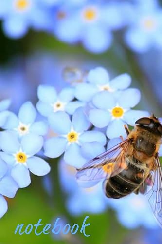 Notebook: Bluebell Bee Homework Book Notepad Notebook Composition and Journal Gratitude Diary