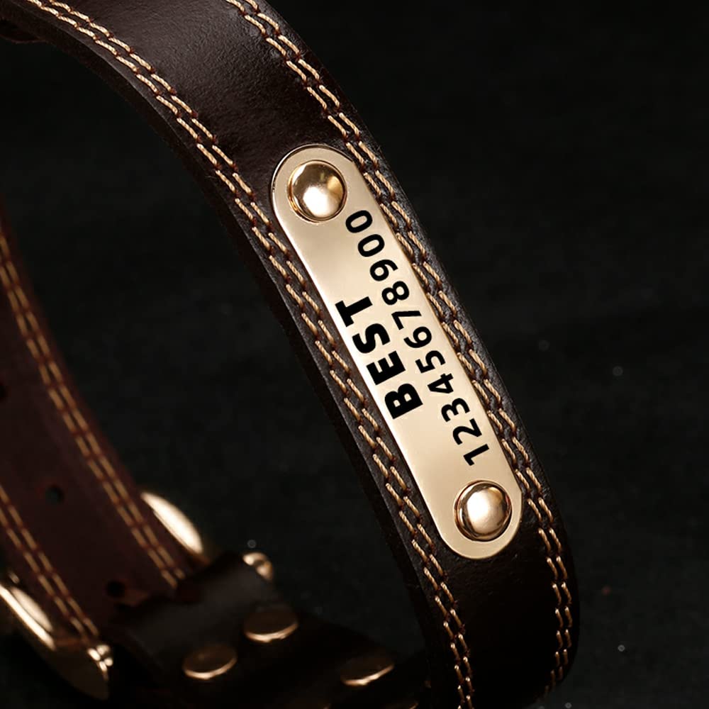 ZQDJ Genuine Leather Personalized Dog Collars Custom Dog Collar with Name for Large Medium Small Dogs?L-XL?