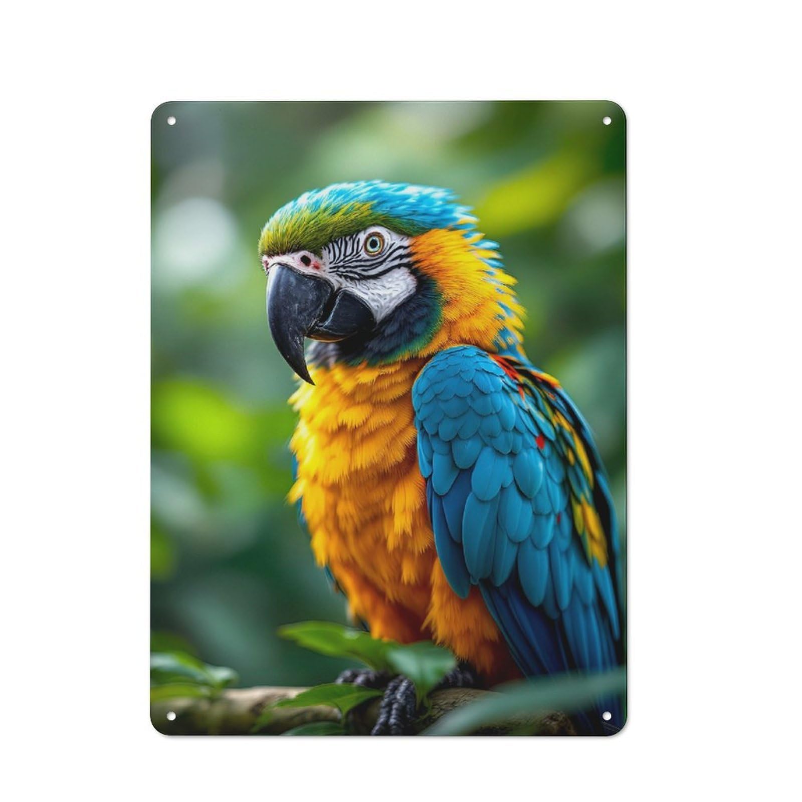 Junmoney Style-19 Rustic Decorative Metal Sign 40X30cm Featuring Blue And Gold Macaw, Kitchen Wall Decor For Kitchen, Cafe, Pantry Or Dining Room