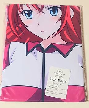 ハイスクールD×D ⑤ ゲーマーズ 特典 ブックカバー NOT FOR SALE