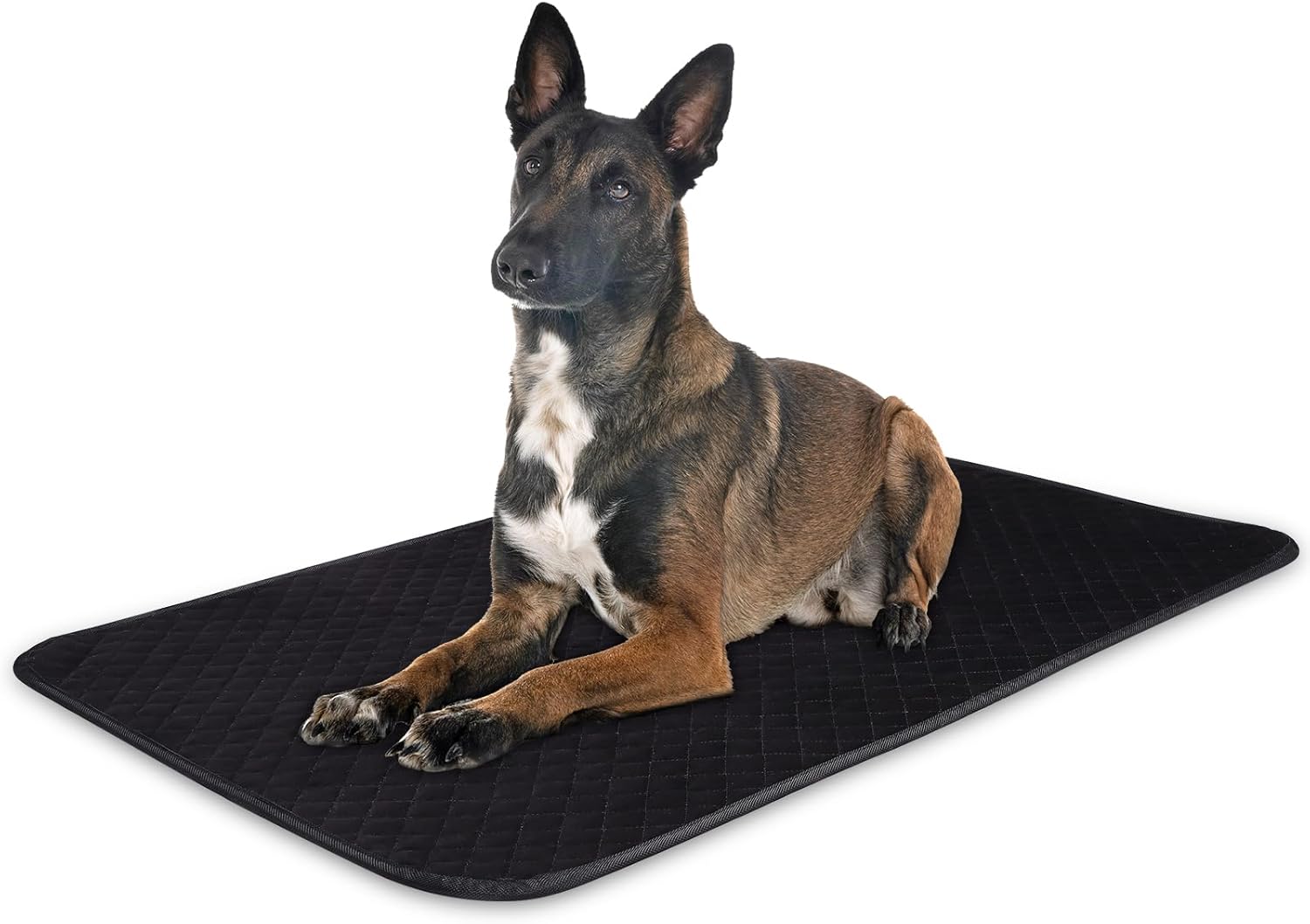 Chew Proof Dog Crate Bed Pad, Enhanced Quilted Indestructible Dog Kennel Pad for Aggressive Chewers, Washable Dogs Mat for Crate, Water Resistant Kennel Pads for Teething Puppy (Black, 35"x23")
