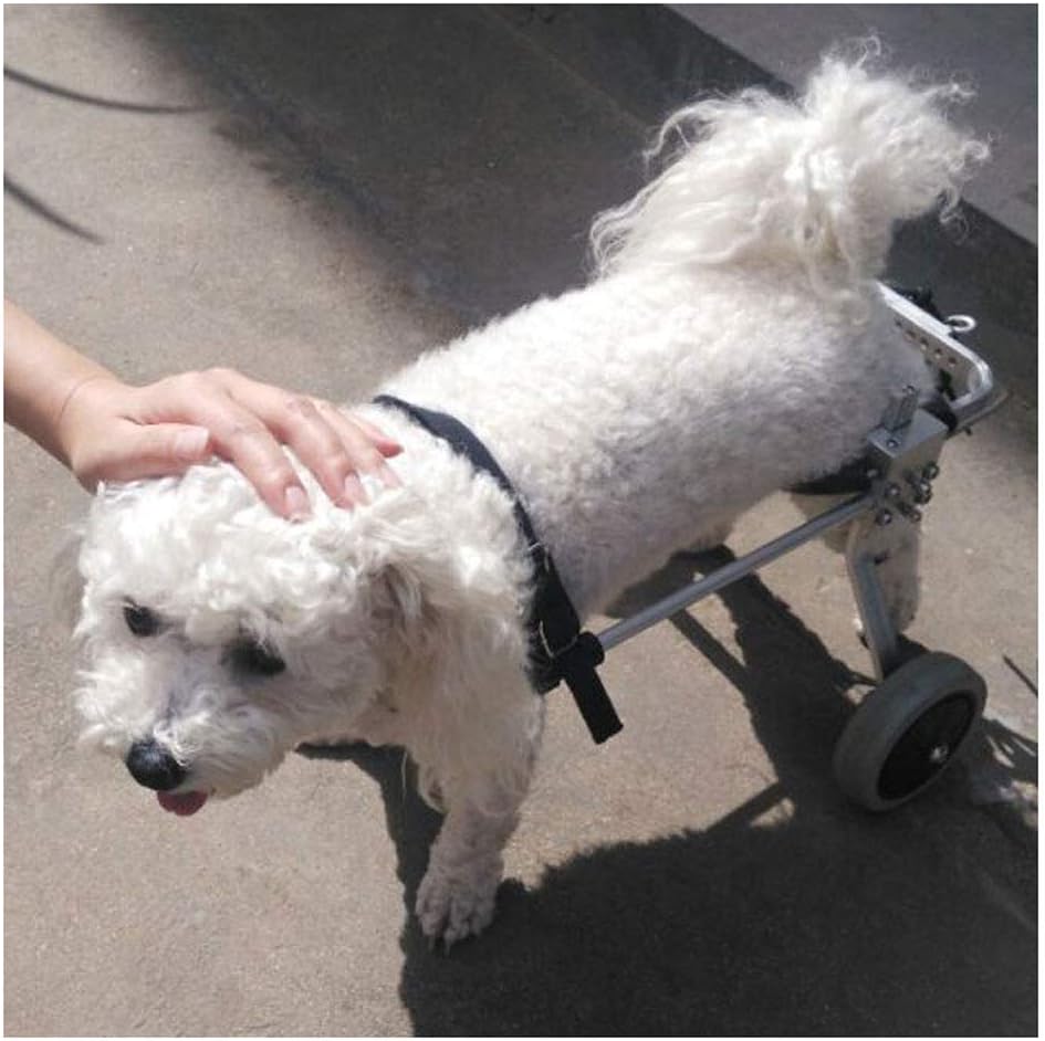 Dog cart, suitable for pet practice rehabilitation limb injury assisted walking, large small dog, adjustable, 2 wheels, 1 kg (2.2 lbs) - 20 kg (44 lbs), available in a variety of sizes