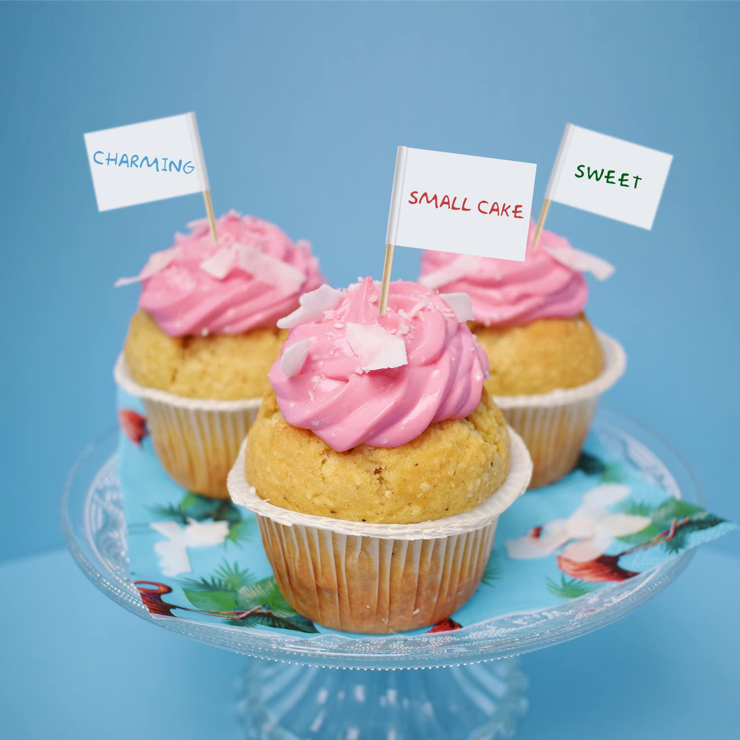 Set van 100 tandenstokervlag, piraat cocktail tandenstokers, vlaggen, taarttoppers, kleine tandenstoker, mini-stokje, cupcaketoppers, fruitcupcaketoppers, voedselstokjes, vlaggen, decoraties voor
