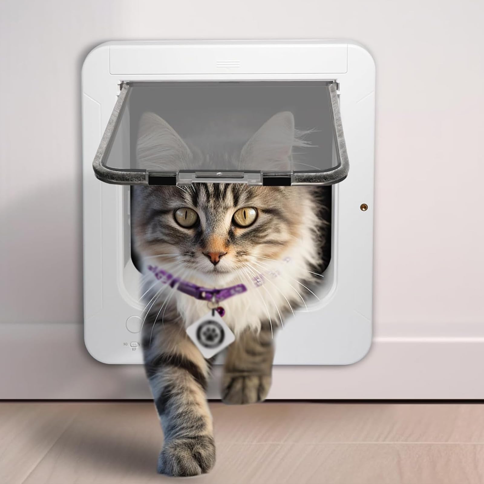 Porta gattaiola con 2 chiavi e telecomando, meccanismo di bloccaggio a 4 vie, dimensioni apertura 19 x 20,5 cm, adatta per cani e gatti fino a 11,3 kg
