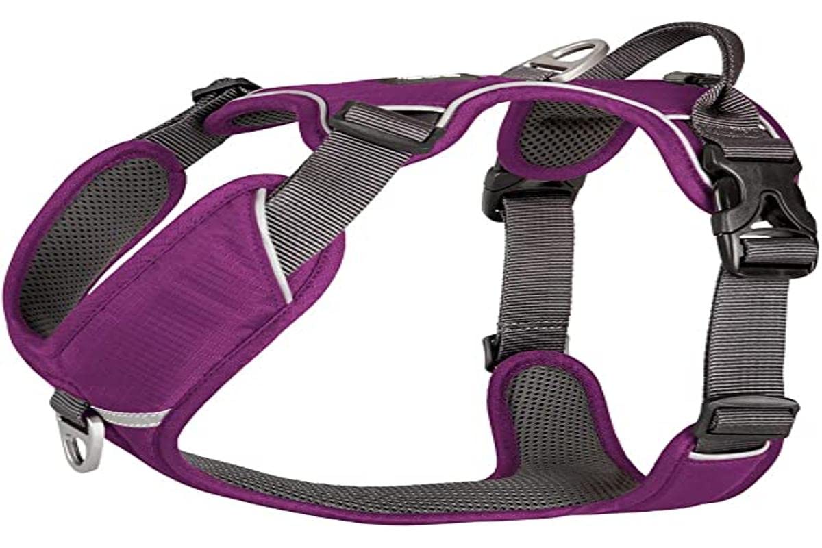 Harnais Comfort Walk Pro XS Purple Passion pour des promenades sereines en ville et nature