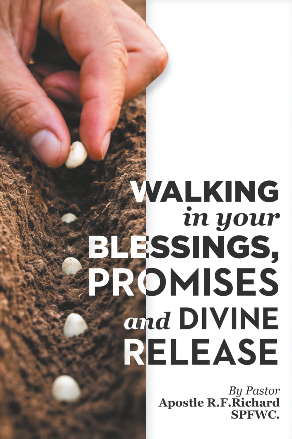 Walking in Your Blessings, Promises, and Divine Release