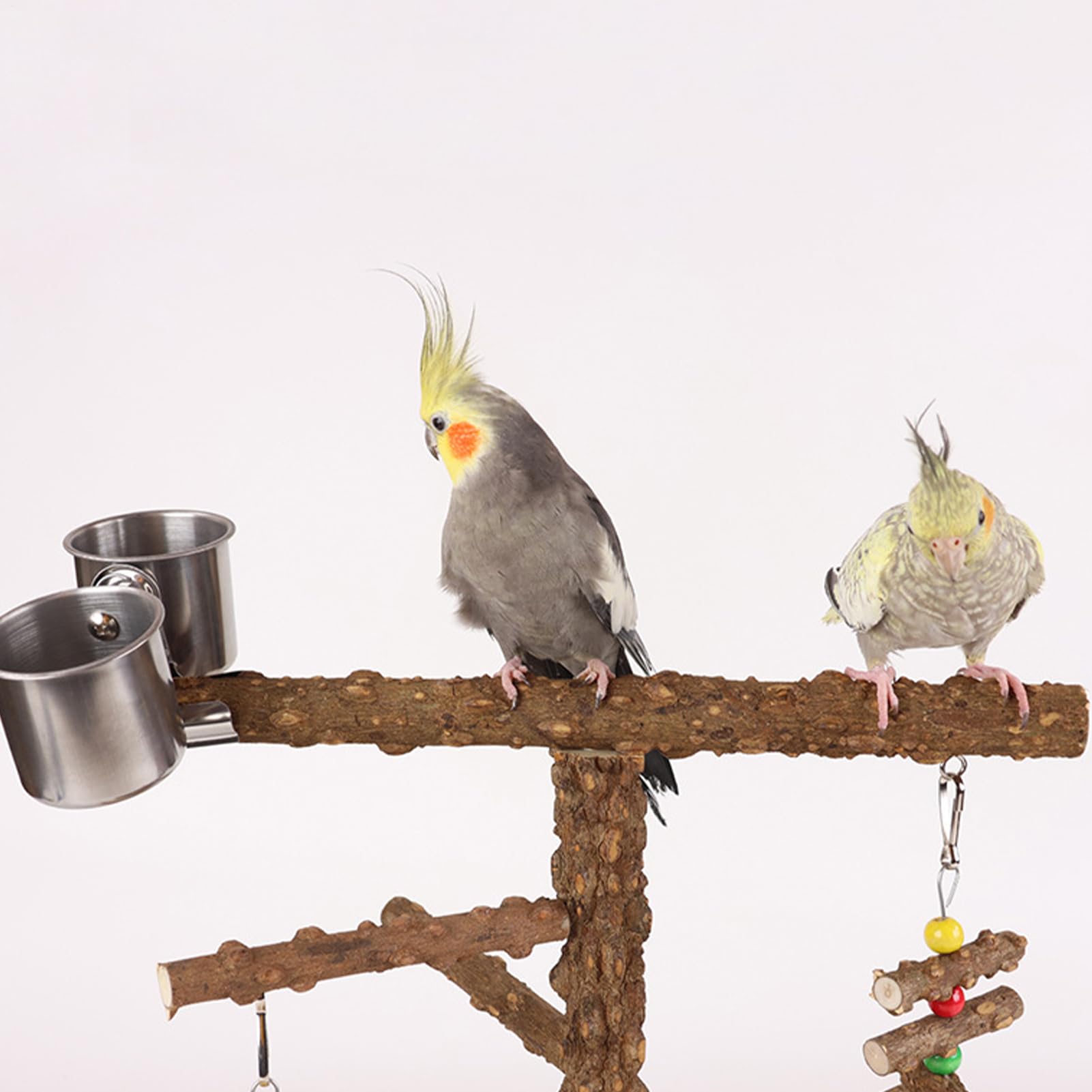 Bird Playground Parrot Play Stand, Activity Center | Fitnessstudio Barsch für Vögel aus Holz mit Leiter, Swing, Spielstation für Vögel, Plattform Spielzeug Conuci