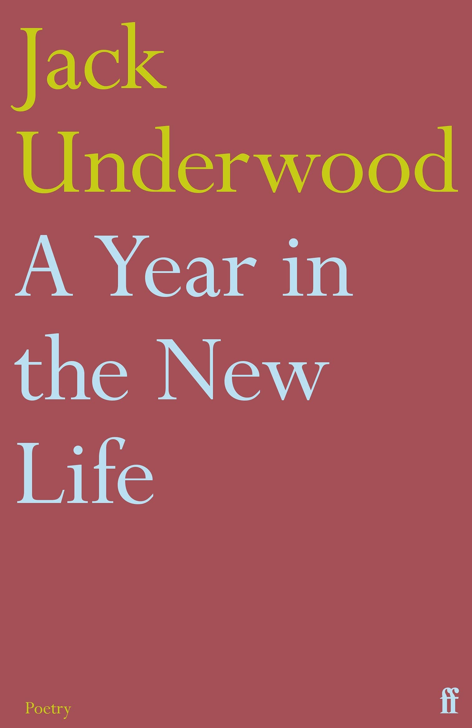 A Year in the New Life by Jack Underwood PAPERBACK 9780571367252