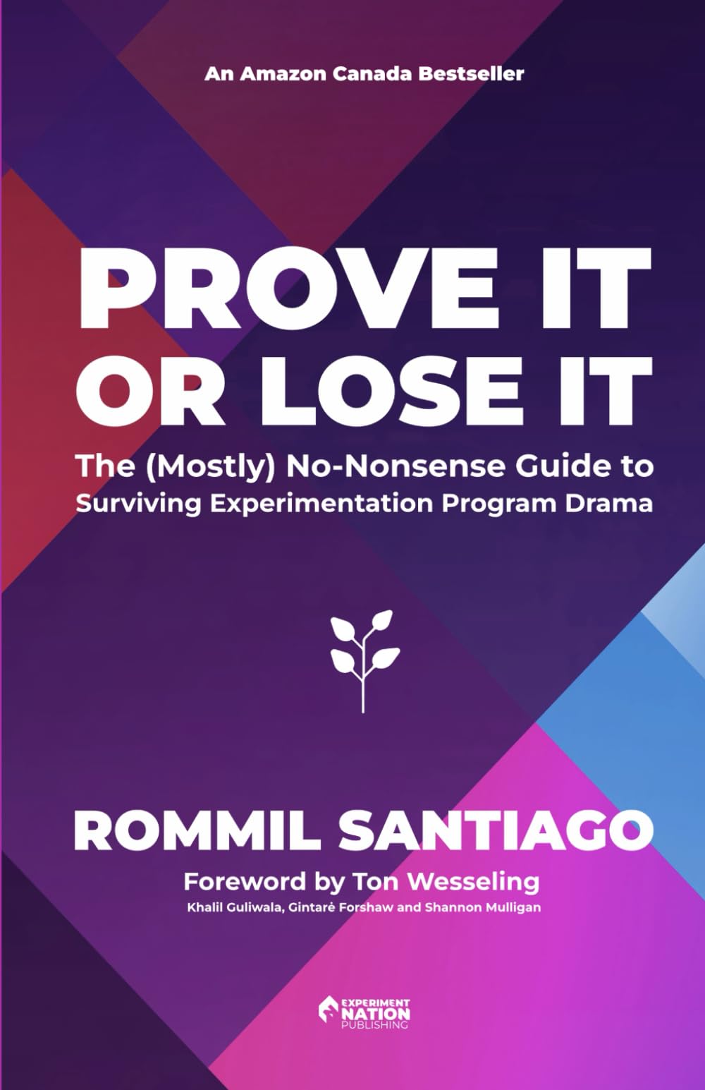 Prove it or Lose it: The (Mostly) No-Nonsense Guide to Surviving Experimentation Program Drama