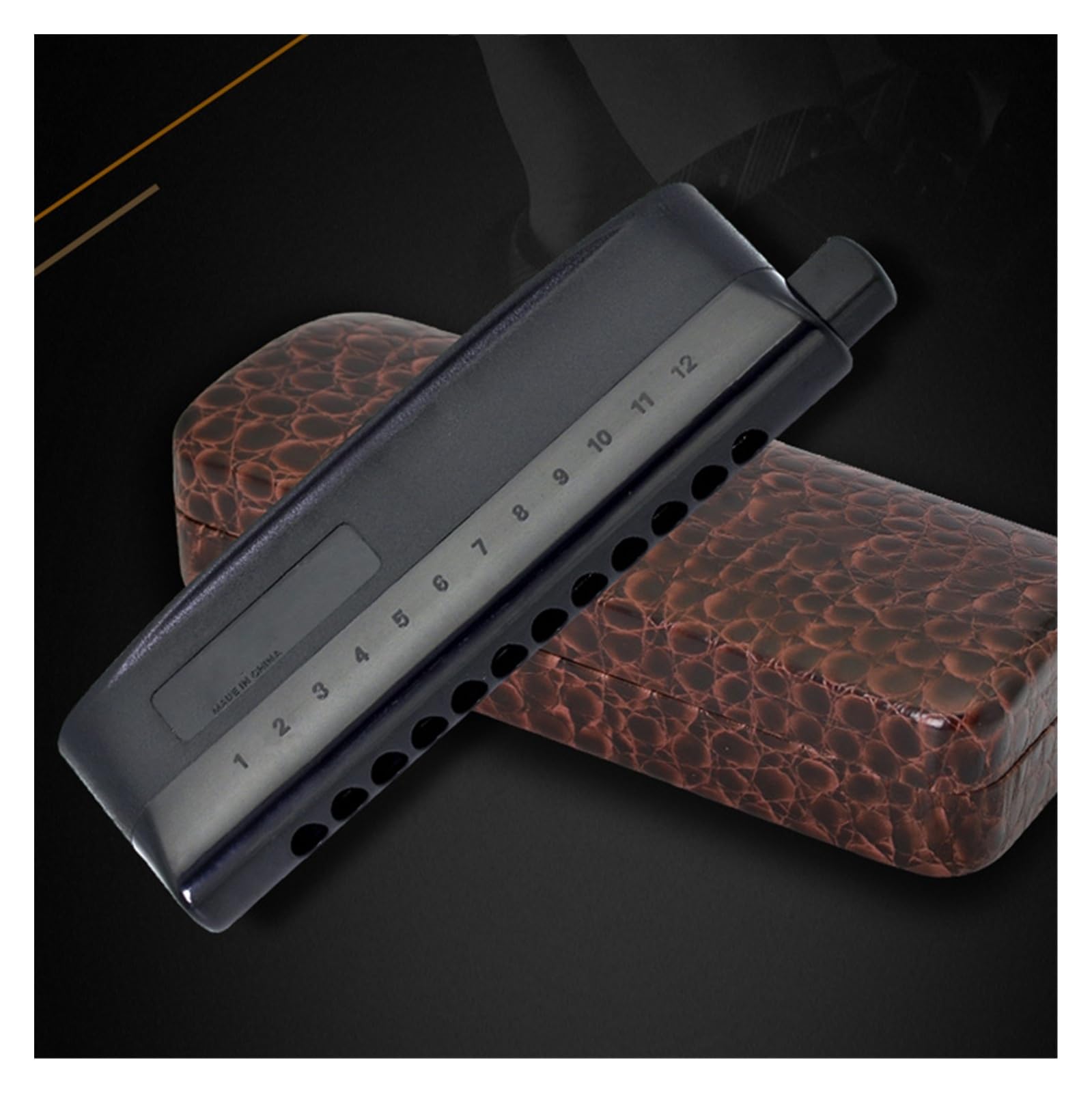 Instrument harmonica 12 trous pour les performances professionnelles des débutants