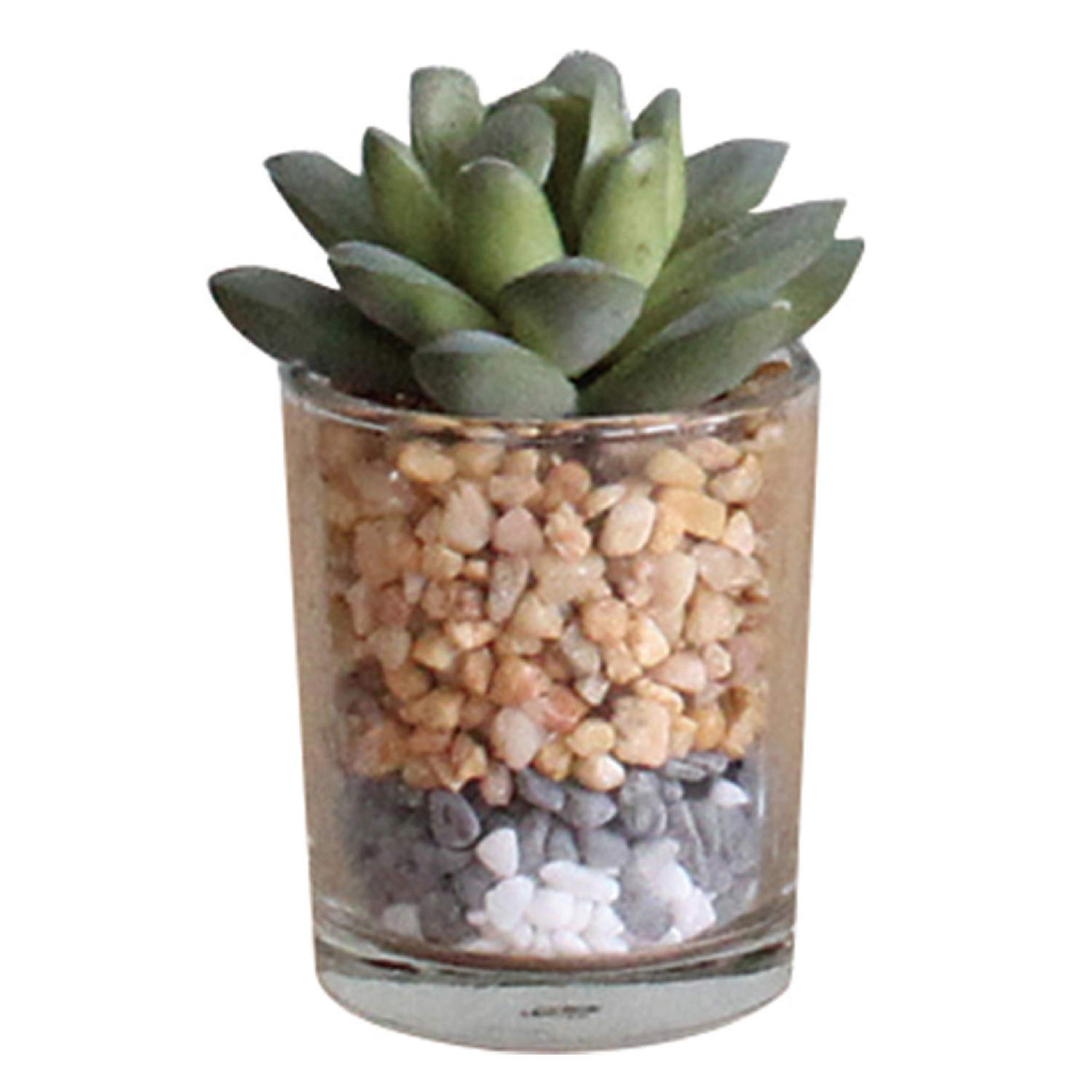 Amazon｜SPICE OF LIFE(スパイス) 造花 フェイクグリーン ミニ ガラス