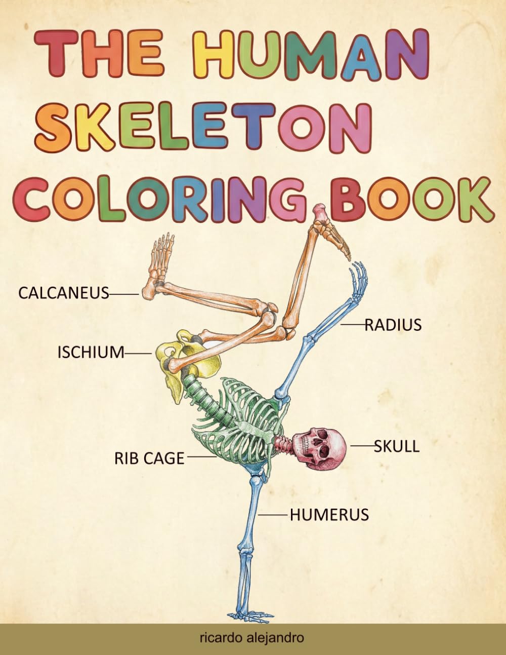 The Human Skeleton Coloring Book: Detailed Illustrations, Medical Notes, Learn the Skeletal System for Medical, Nursing, and Allied Health Students