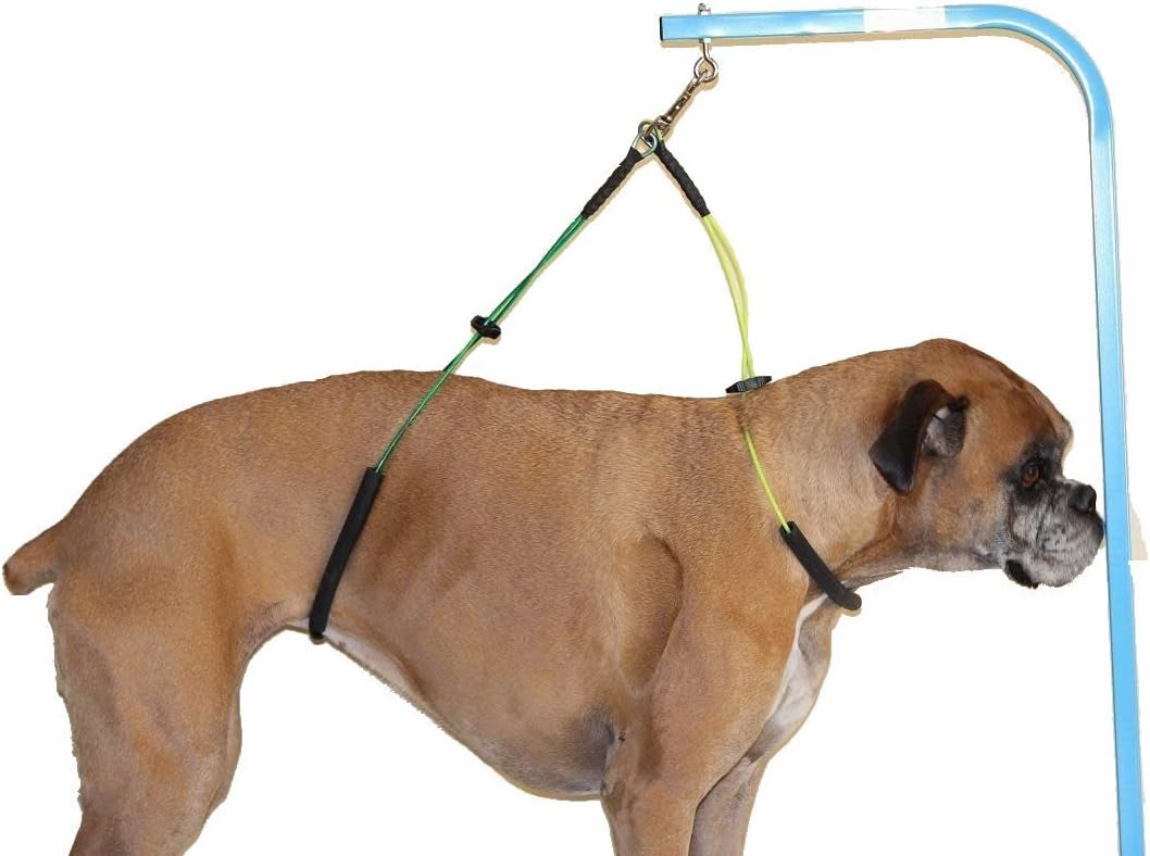 grooming leash