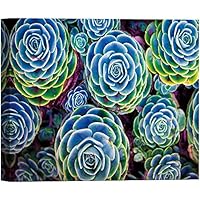 SIGNWIN Canvas Wall Art Bright Green Echeveria Elegans Rosette Succulents Botanical Plants Photography Modern Art Tropical Group Colorful Ultra for Living Room, Bedroom, Office - 12x18 inches