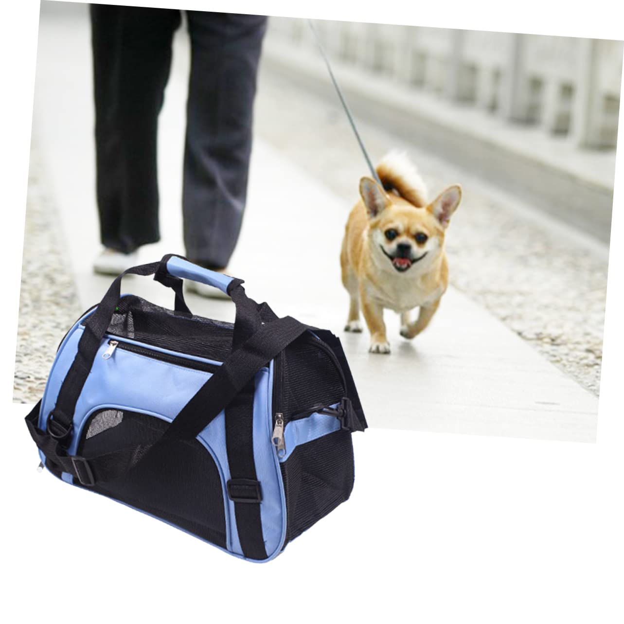 Abaodam Portable Pet Carrier Backpack for Dogs and Cats Straps Zipped Entry Durable Travel Handbag for Outdoor Use Blue for Sightseeing and Camping