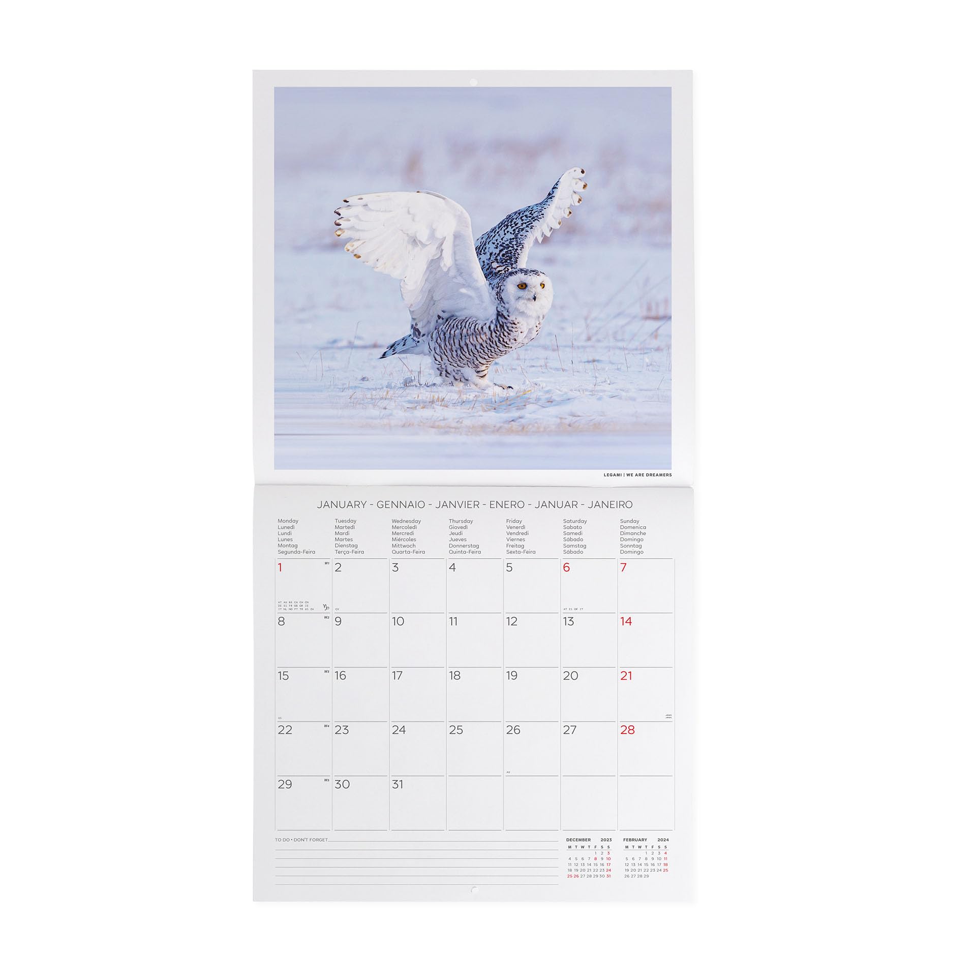 Legami, Wall Calendar 2024, 12 Months and Annual Planner, Space for Notes and Notes Number of the Week, 6 Languages - Image 2