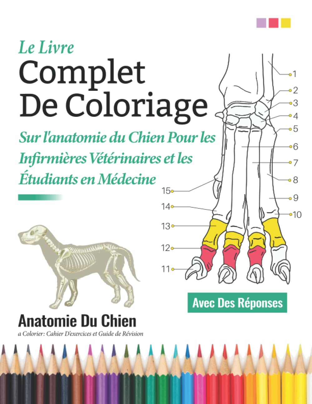 Le Livre Complet De Coloriage sur l'anatomie du chien pour les infirmières vétérinaires et les étudiants en médecine - Anatomie Du Chiena Colorier: ... d'anatomie de chien | Cadeaux parfaits