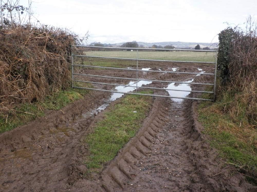 Horse Pony Muddy Gateway Repair Paddock OVERSEED Pastures Grass Seed 50KG