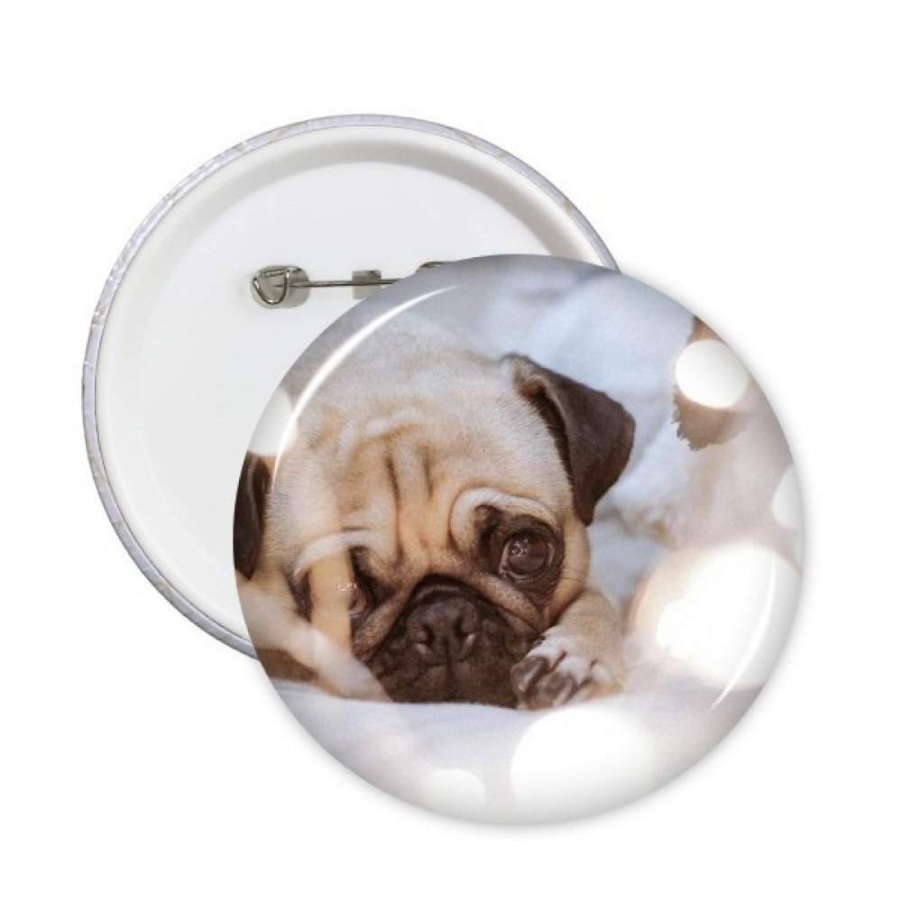 Badge bouton bouledogue multicolore avec attache épingle robuste pour vêtement