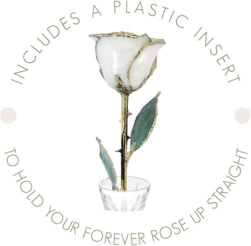 Miniatura 6 de Forever Rose Rosa perla blanca bañada en oro de 24 quilates, piedra natal de junio, una rosa única y eterna perla blanca real bañada en oro de 24