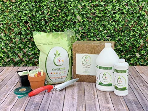 Vermisterra Earthworm Casting Tea - Organic Worm Tea - Gallon - Soil Conditioner Concentrate - Living Enzymes, Nourish Plants And Boost Growth - Feeds All Crops: Vegetables, Flowers, Fruit And Trees #TOP2