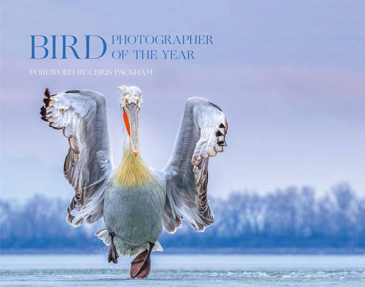Bird Photographer of the Year: Collection 4 Hardcover – 22 August 2019