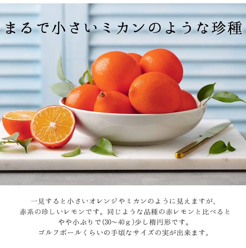 Amazon.co.jp: ハッピーガーデン 果樹 ギフト 珍しい 赤レモン