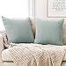Deconovo Lot de 2 Housse de Coussin 45x45cm en Velours Vert Clair Housse de Coussin Doux Housse de Coussin