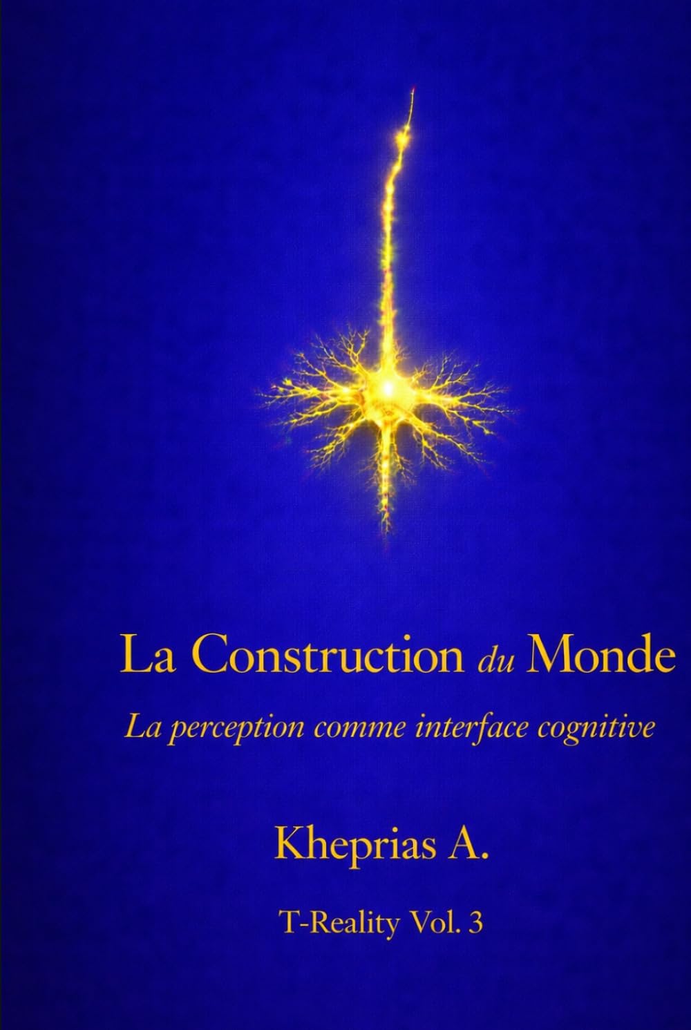 La Construction du Monde: La perception comme interface cognitive (T-Reality – Philosophie de l’esprit et neurophilosophie)