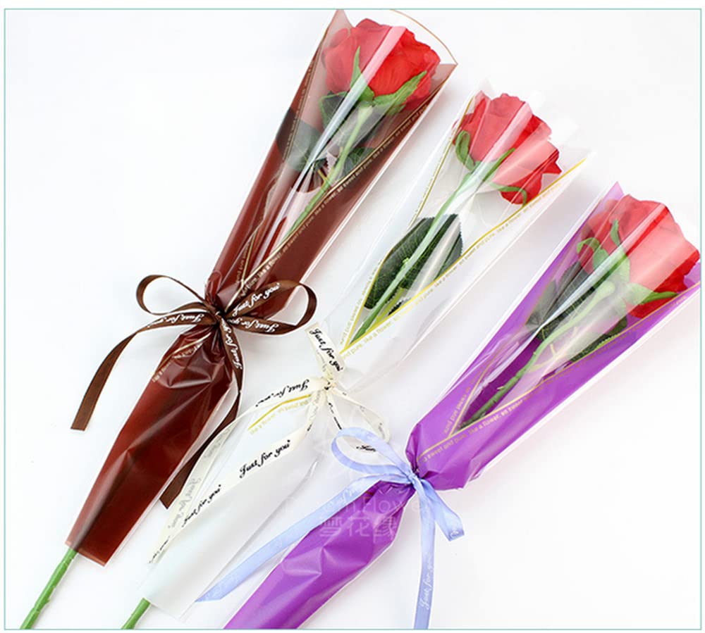 NatureMan Lot De 100 Sacs D'emballage En 4 Couleurs Pour Bouquet