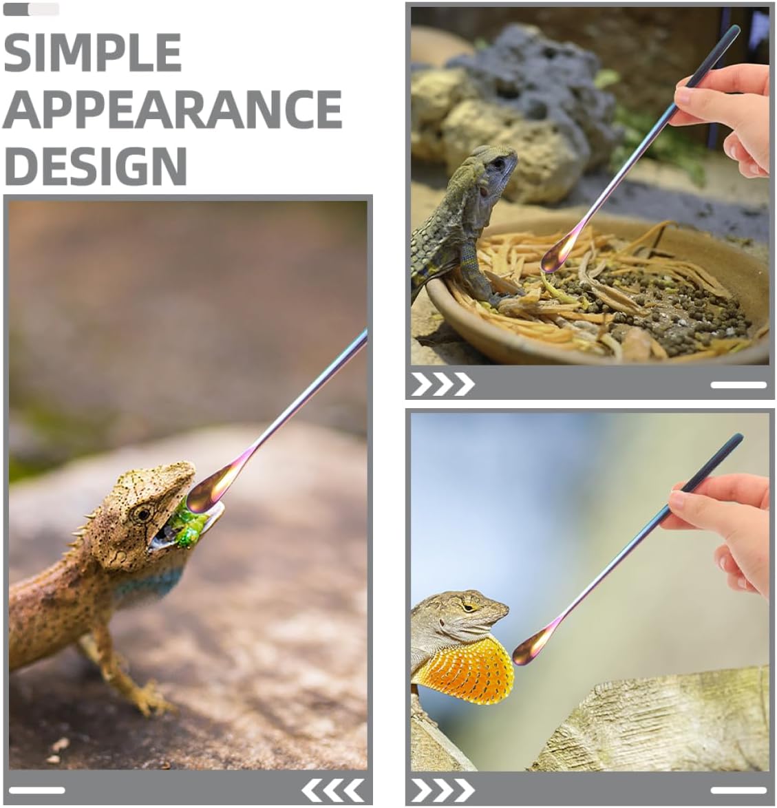BESPORTBLE 3pcs Reptile Care Small Pet Feeding Spoon Stainless Steel Lizard Food Scoop Comfortable Handling
