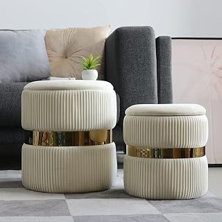 YYW Home Velvet Ottoman with Storage - Bule Velvet Ottoman for Living Room, Velvet Storage Ottoman for Livingroom,Gold Ottoman with Storage, Vanity Chair for Bedroom,Set of 2 Velvet Ottoman(White)